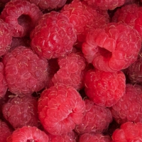 raspberries-044